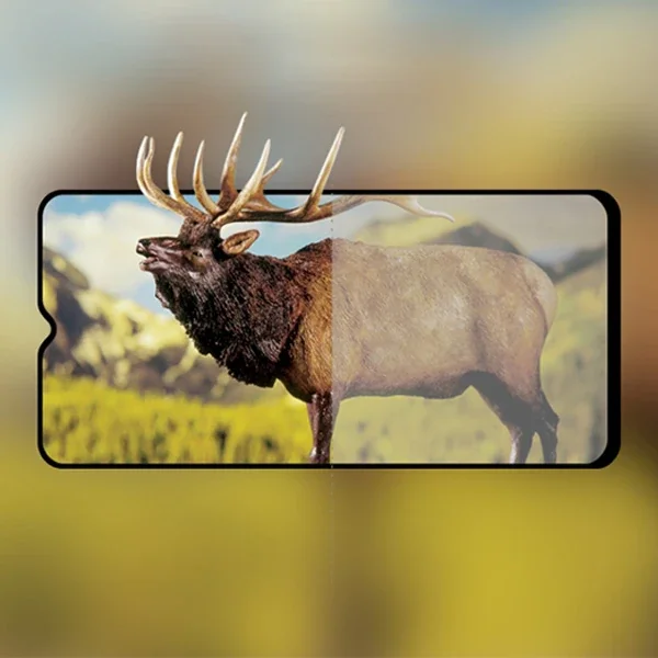 OPPO A9/A5 2020 9H Kırılmaz Temper Cam Ekran Koruyucu - Darbeye Dayanıklı