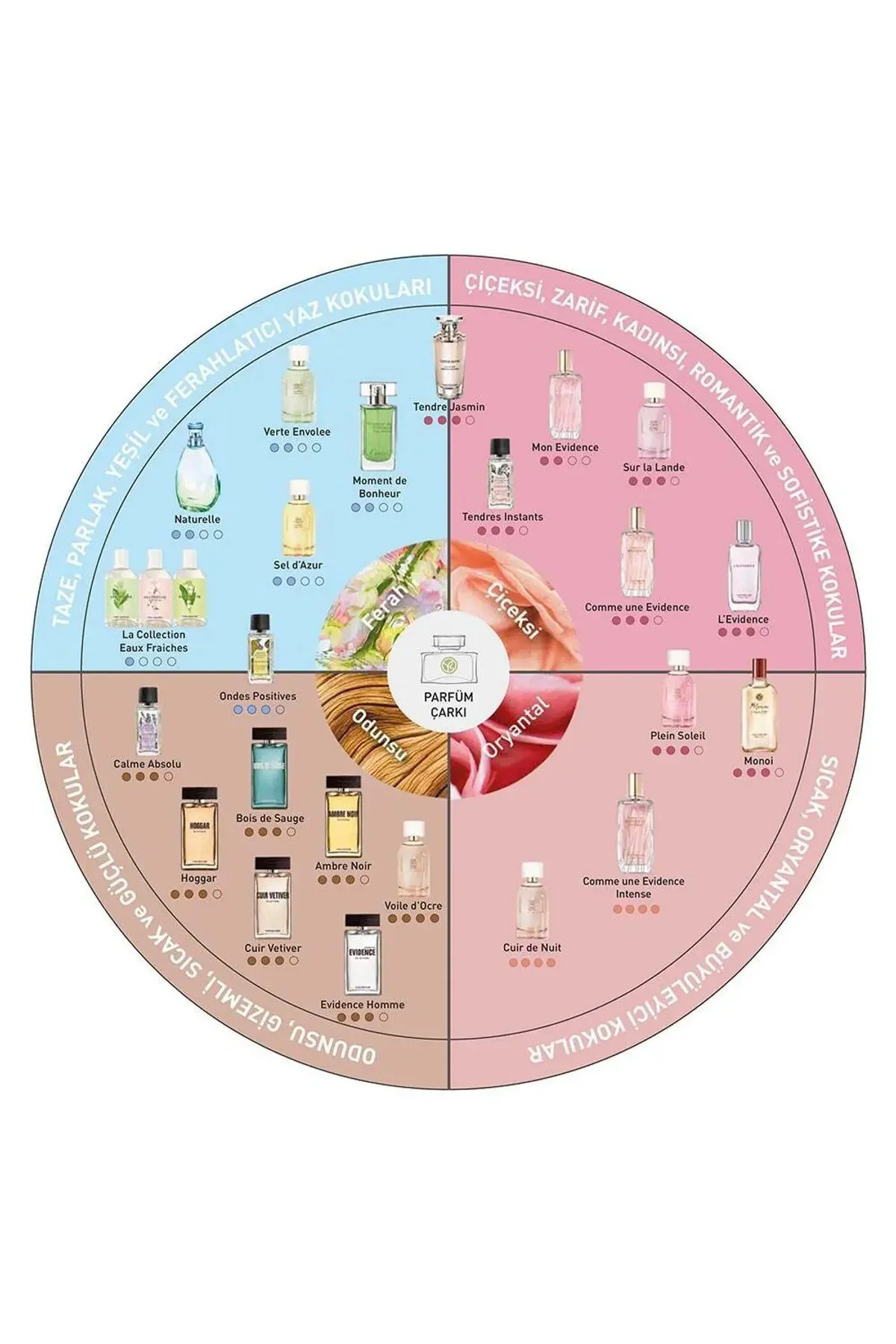 Orchid Vanilya- EDT 100 ml