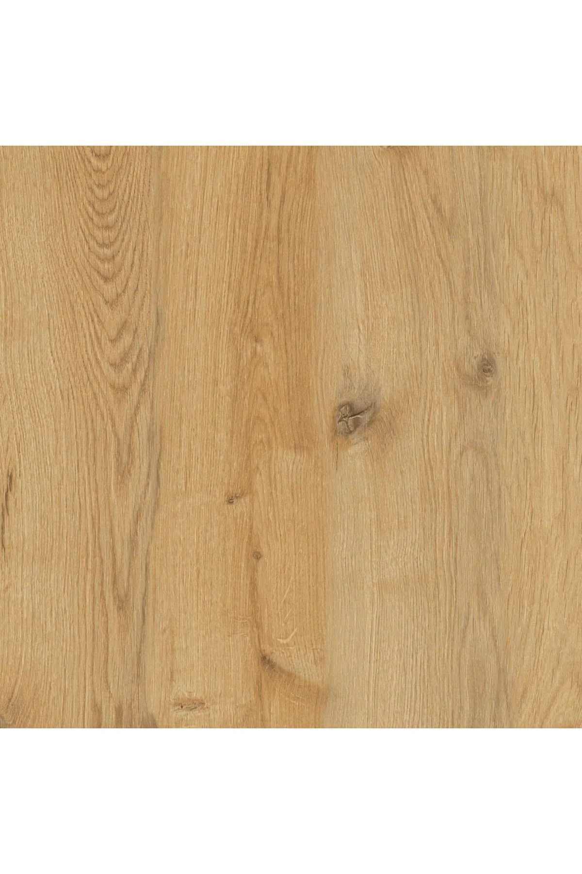 Oregon 6 Raflı Zikzak Kitaplık, Dekoratif Raf 6 Raflı Kitaplık, L