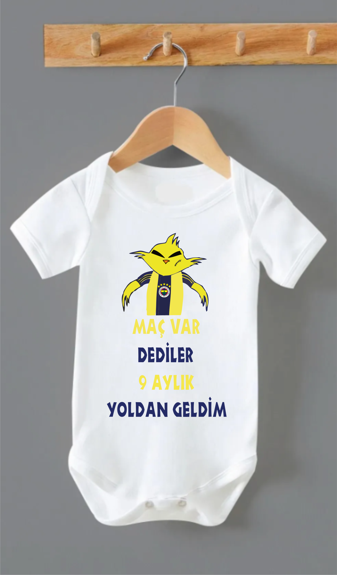 ORGANİK %100 PAMUKLU 9 AYLIK YOLDAN GELDİM F BASKILI Bebek Body Ç