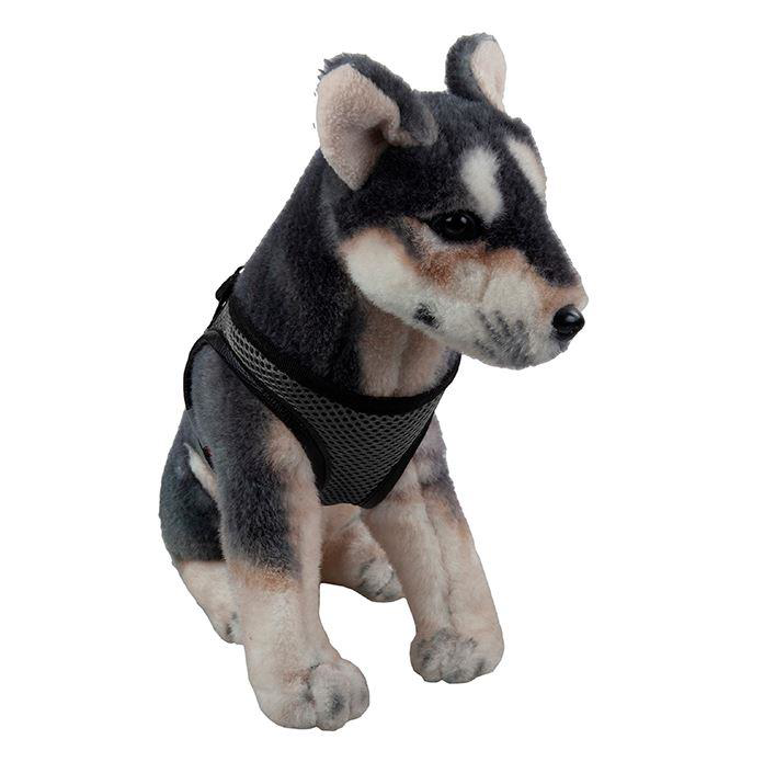 Orijin Köpek Göğüs Tasması M Siyah GÖVDESİ 30-35cm ARASI OLAN KÖP