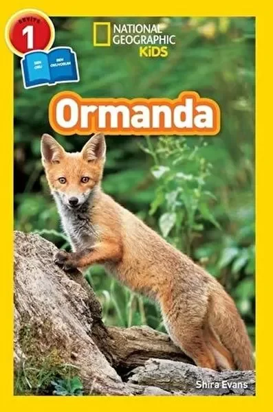 Ormanda - Seviye 1 Ormanda - Seviye 1