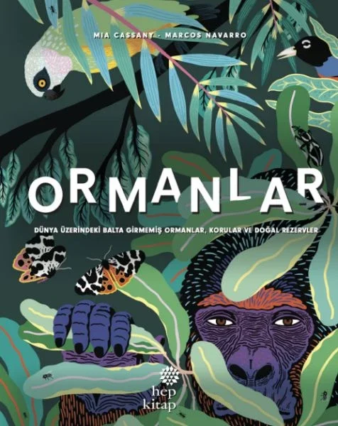 Ormanlar - Dünya  Üzerindeki Balta Girmemiş  Ormanlar, Korular ve Doğal  Rezervler Fiyatı, Yorumları ve Özellikleri