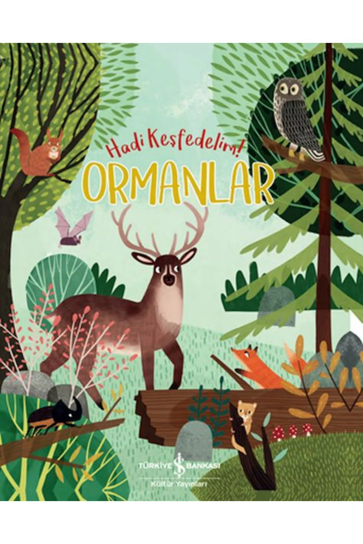 Ormanlar - Hadi Keşfedelim!