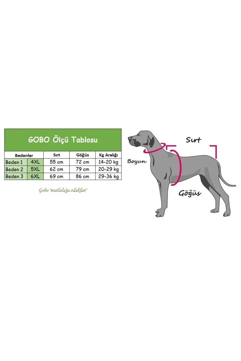 Orta ve Büyük Irk Köpekler için Mickey Mouse Desenli Sütlü Kahve