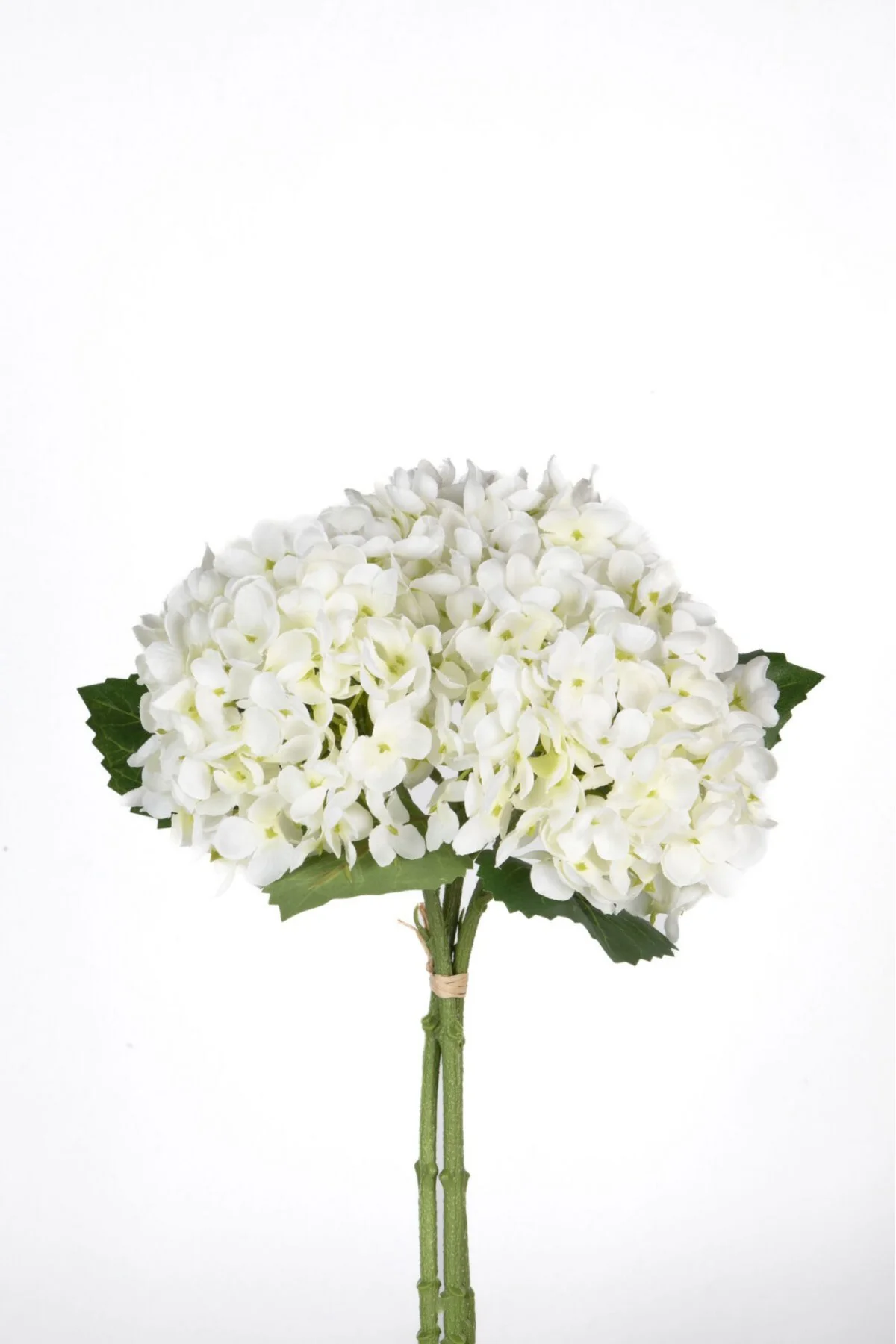 Ortanca 3 Dal Demet Beyaz 34 cm