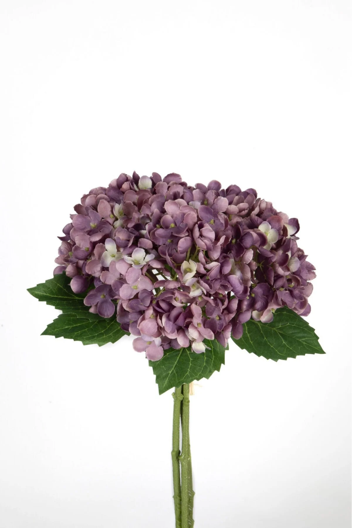 Ortanca 3 Dal Demet Mor 34 cm