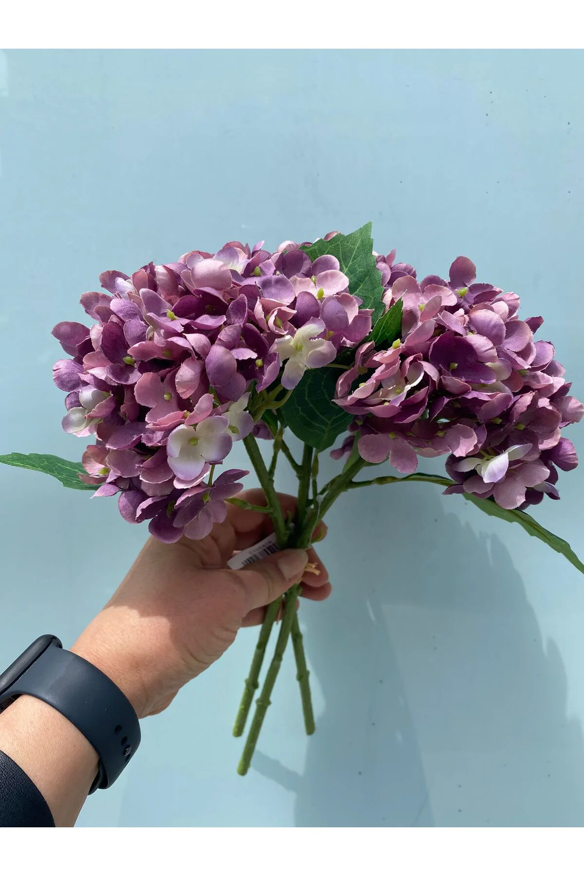 Ortanca 3 Dal Demet Mor 34 cm