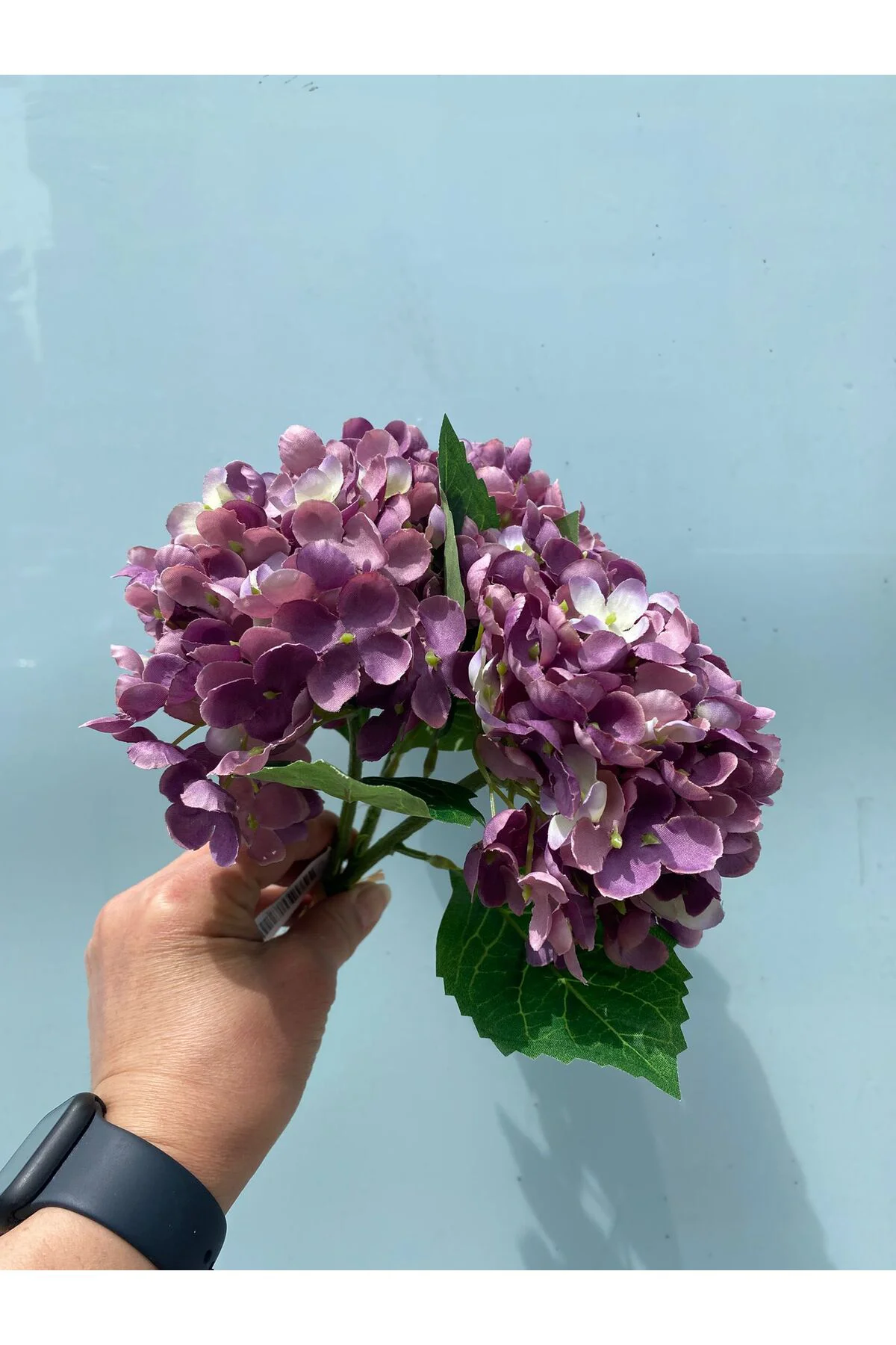 Ortanca 3 Dal Demet Mor 34 cm