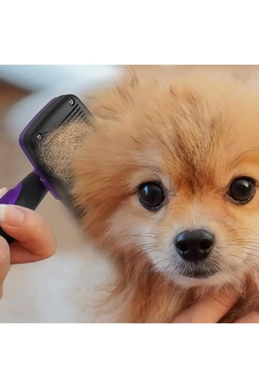 ® Otomatik Temizlenebilen Tuşlu Pratik Kedi Köpek Tüy Toplama Fır