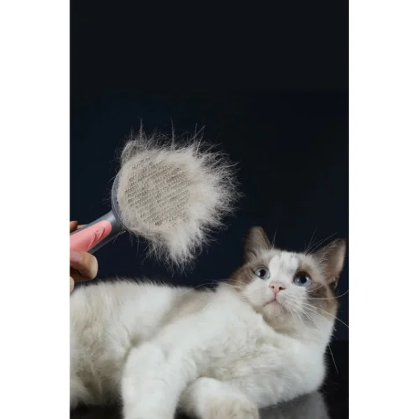 Otomatik Tuşlu Kendini Temizleyen Kedi Köpek Tarağı Fiyatı, Yorumları ve Özellikleri