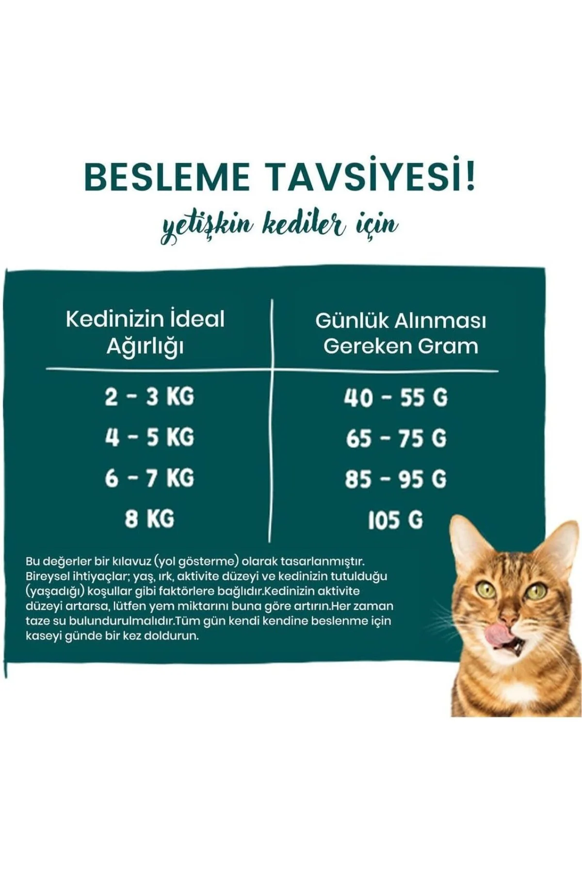 Outdoor Ördek Etli Yetişkin Kuru Kedi Maması 8 Kg