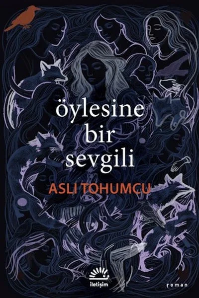 Öylesine Bir Sevgili Fiyatı, Yorumları ve Özellikleri