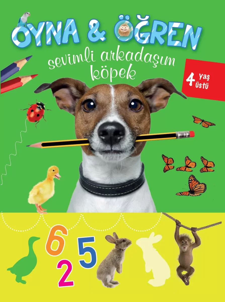 Oyna Öğren Sevimli Arkadaşım Köpek 4 Yaş Üstü Oyna Öğren Sevimli Arkadaşım Köpek 4 Yaş Üstü