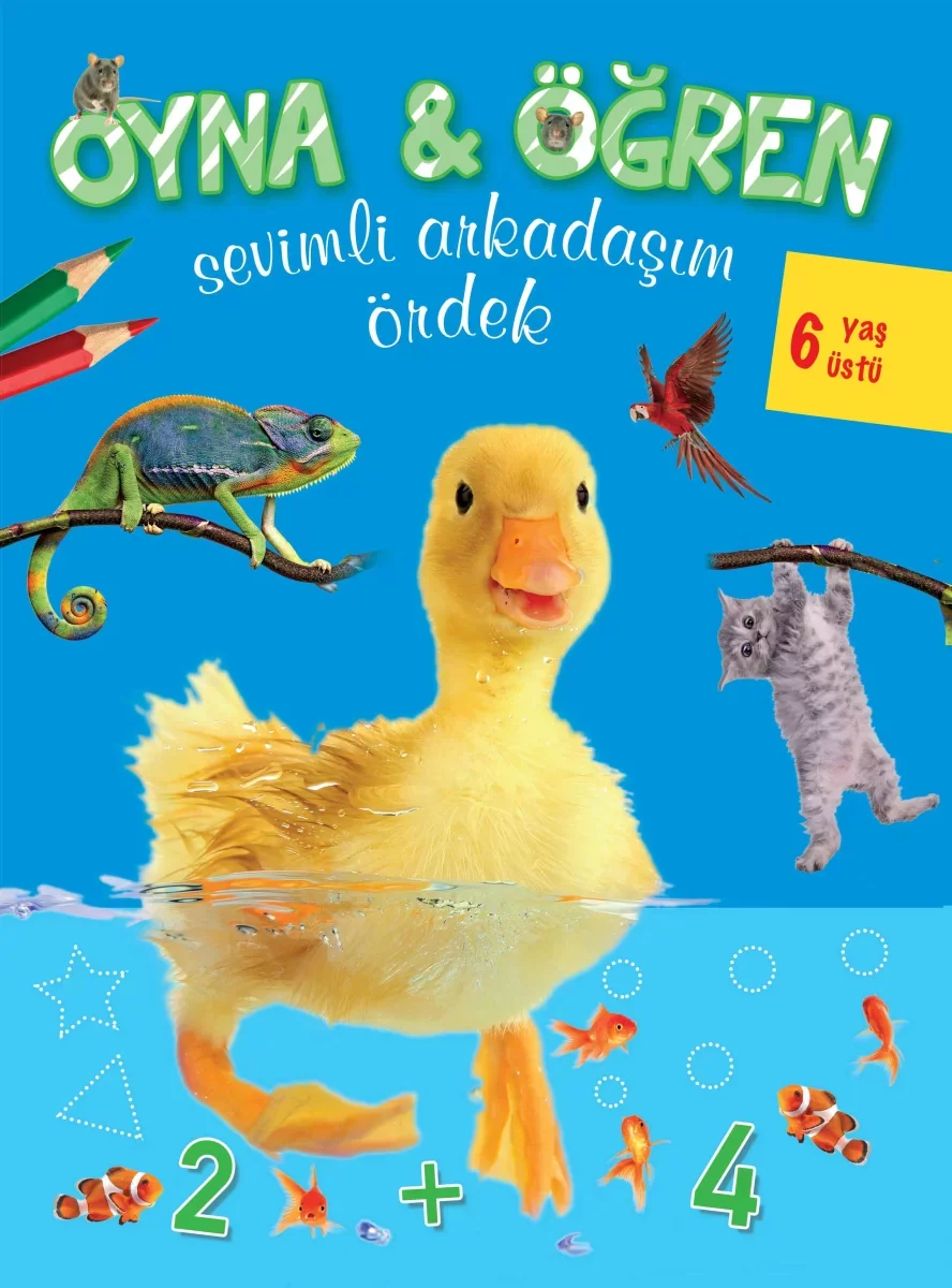 Oyna Öğren Sevimli Arkadaşım Ördek 6 Yaş Üstü