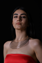 ÖZEL SERİ GÜMÜŞ MİKRON KAPLAMA 29 SIRA TELKARİ ESNEK KAPAMASIZ KA