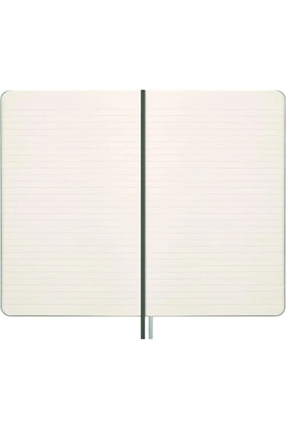 Özel Seri Les 12 Ay Haftalik Ajanda + Vegea Mamba Defter Seti L B