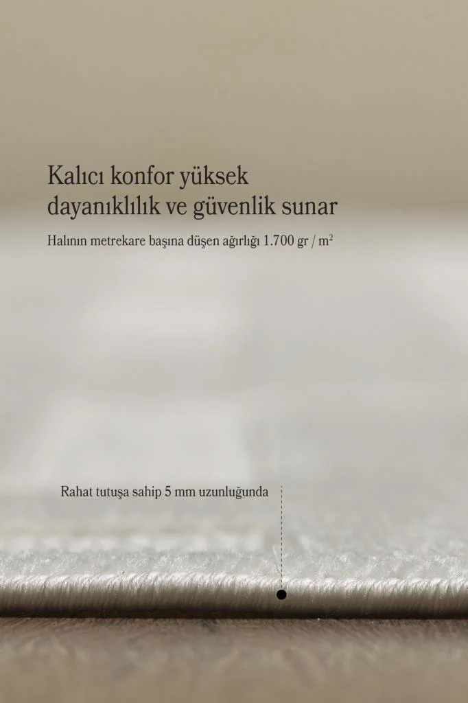 Özel Tasarım Krem Kolay Temizlenebilir, Kaymaz Tabanlı Şık Oturma Odası ve Salon Halısı