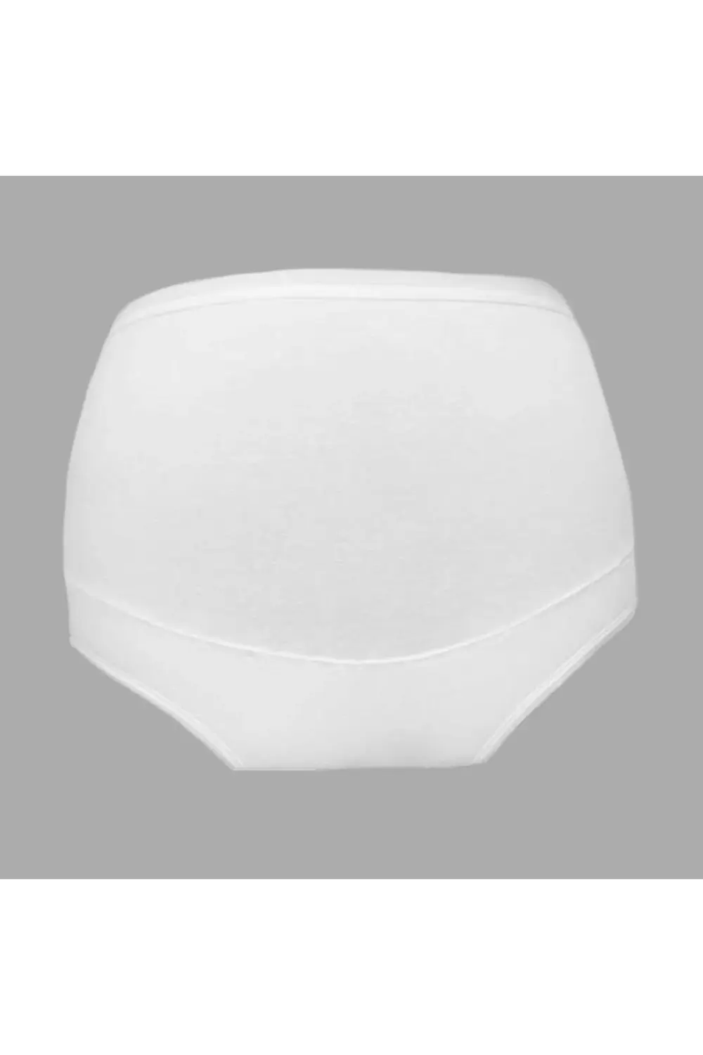 Özten 6'lı Modal Hamile Külot 111