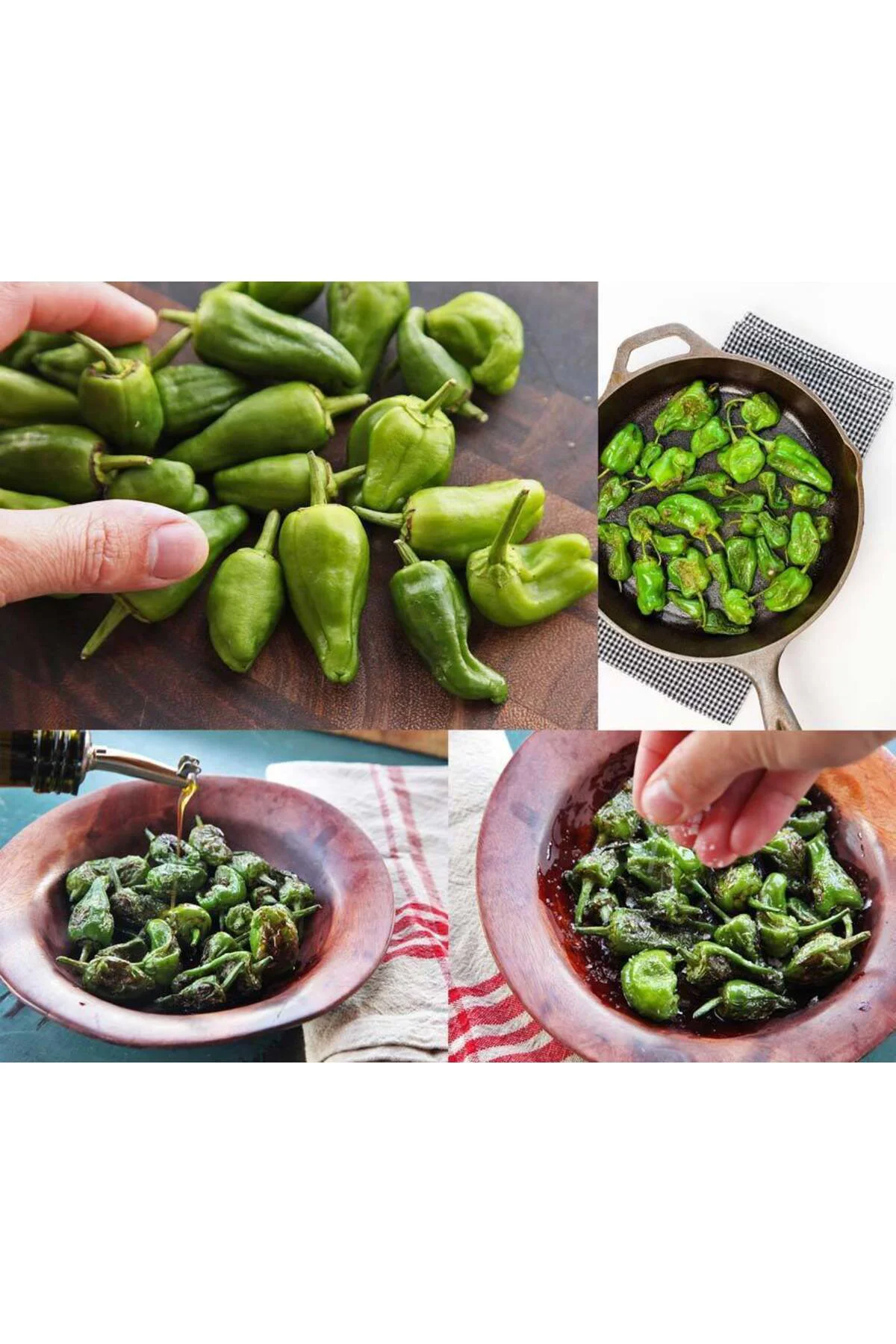 Padron acı biber tohumu Padron acı biber tohumu