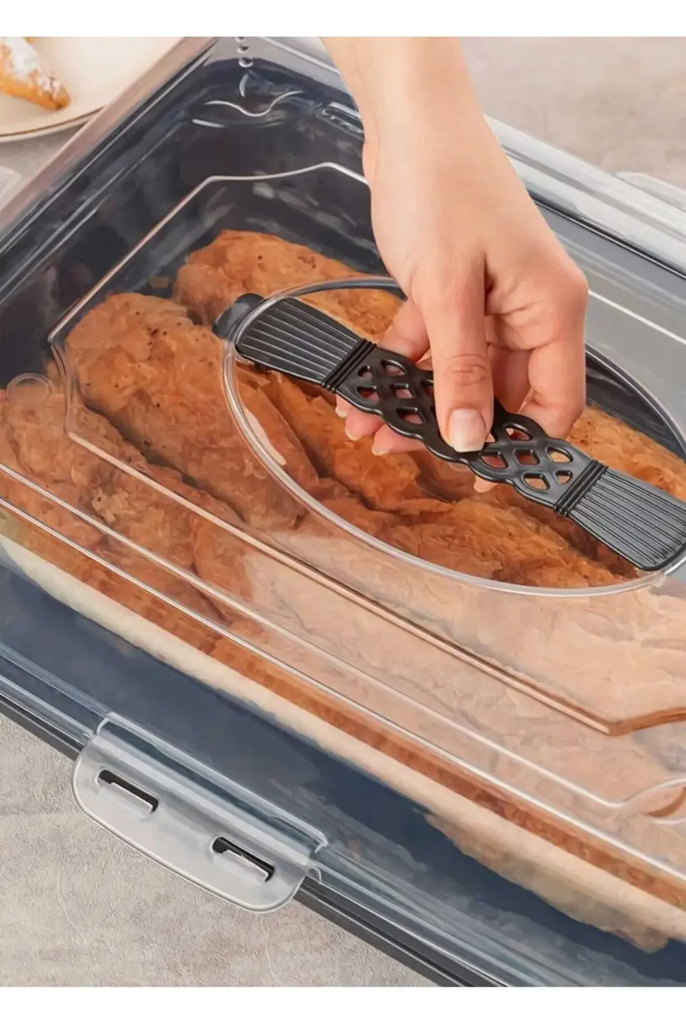 PALOVA, Kilitli Kapaklı Kek Börek Pasta Saklama, BORCAM TAŞIMA KA