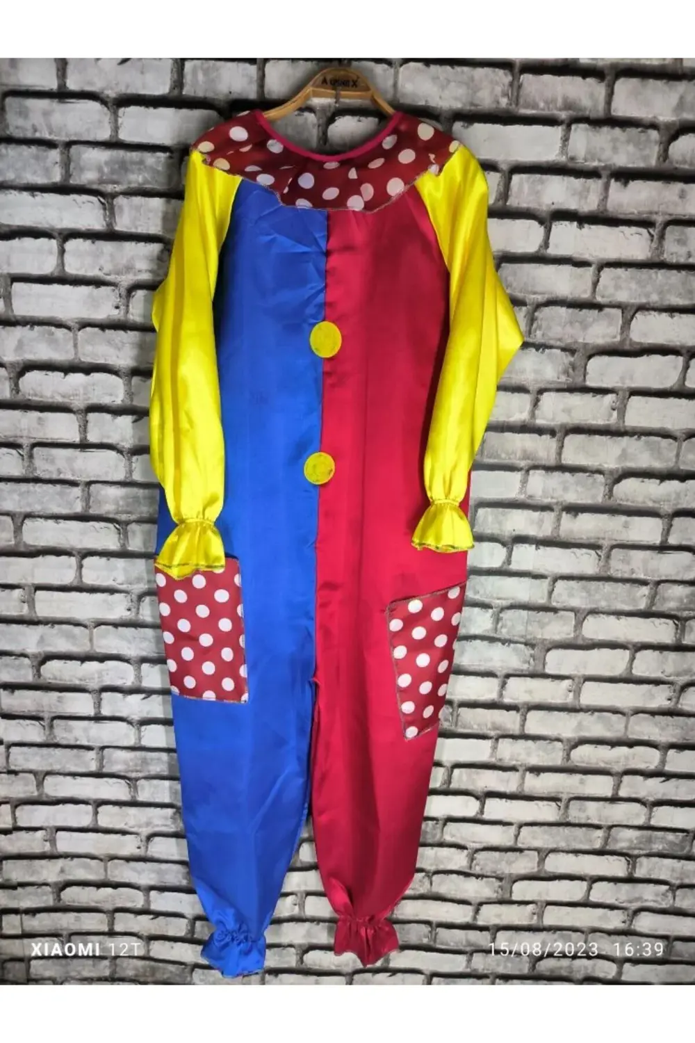 PALYAÇO TULUM YETİŞKİN BAY VE UYUMLU