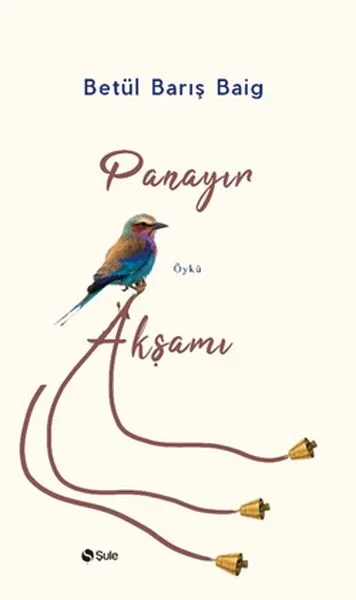 Panayır Akşamı Fiyatı, Yorumları ve Özellikleri