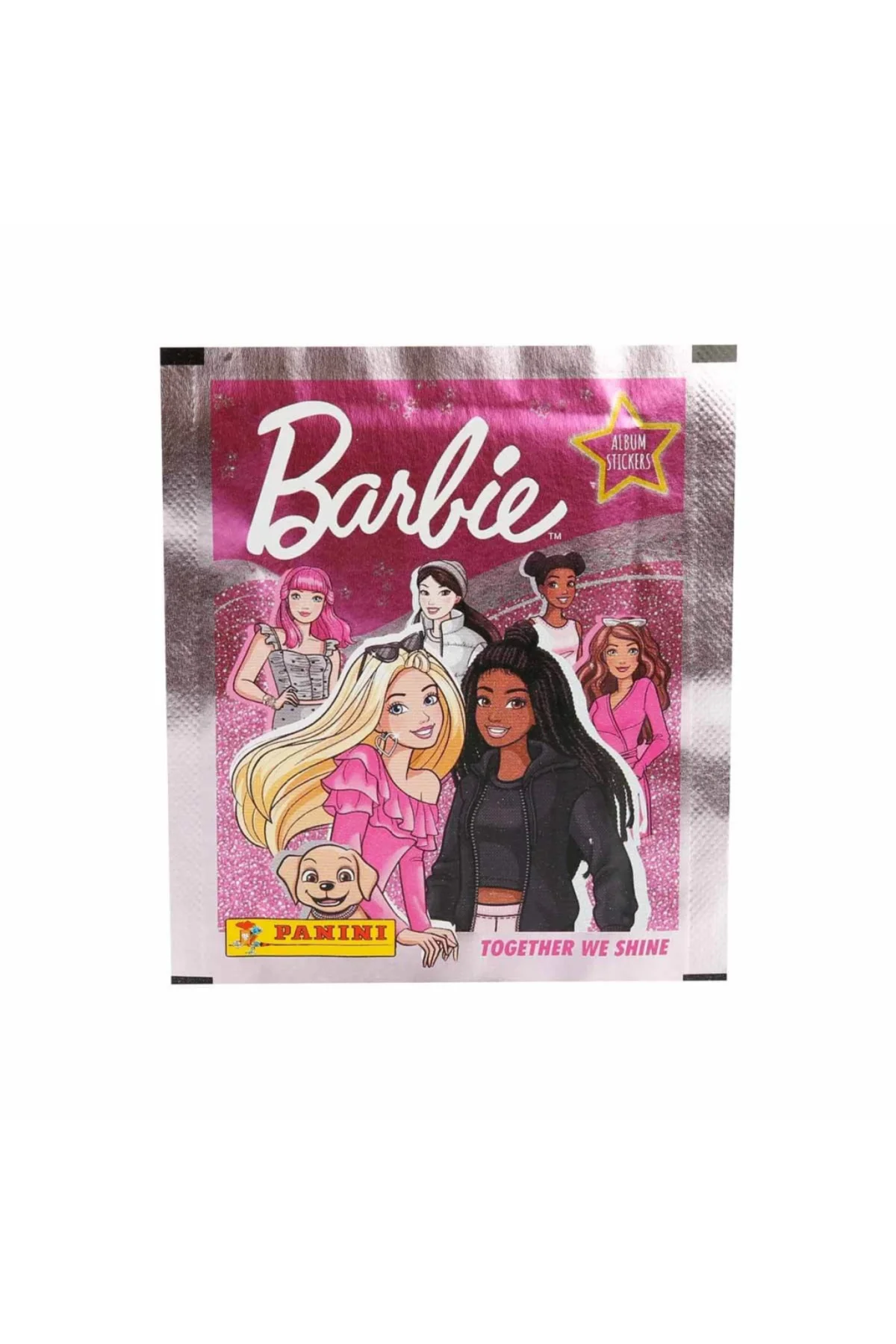 Panini Çıkartma Paketi