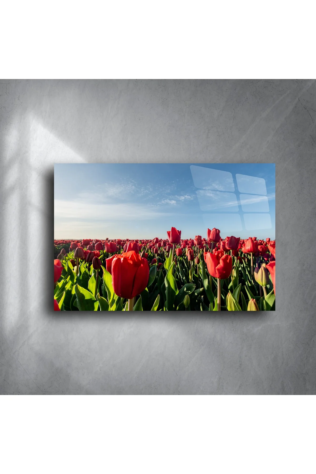 Panoramik Kırmızı Lale Tarlası Cam Tablo Panoramik Kırmızı Lale Tarlası Cam Tablo