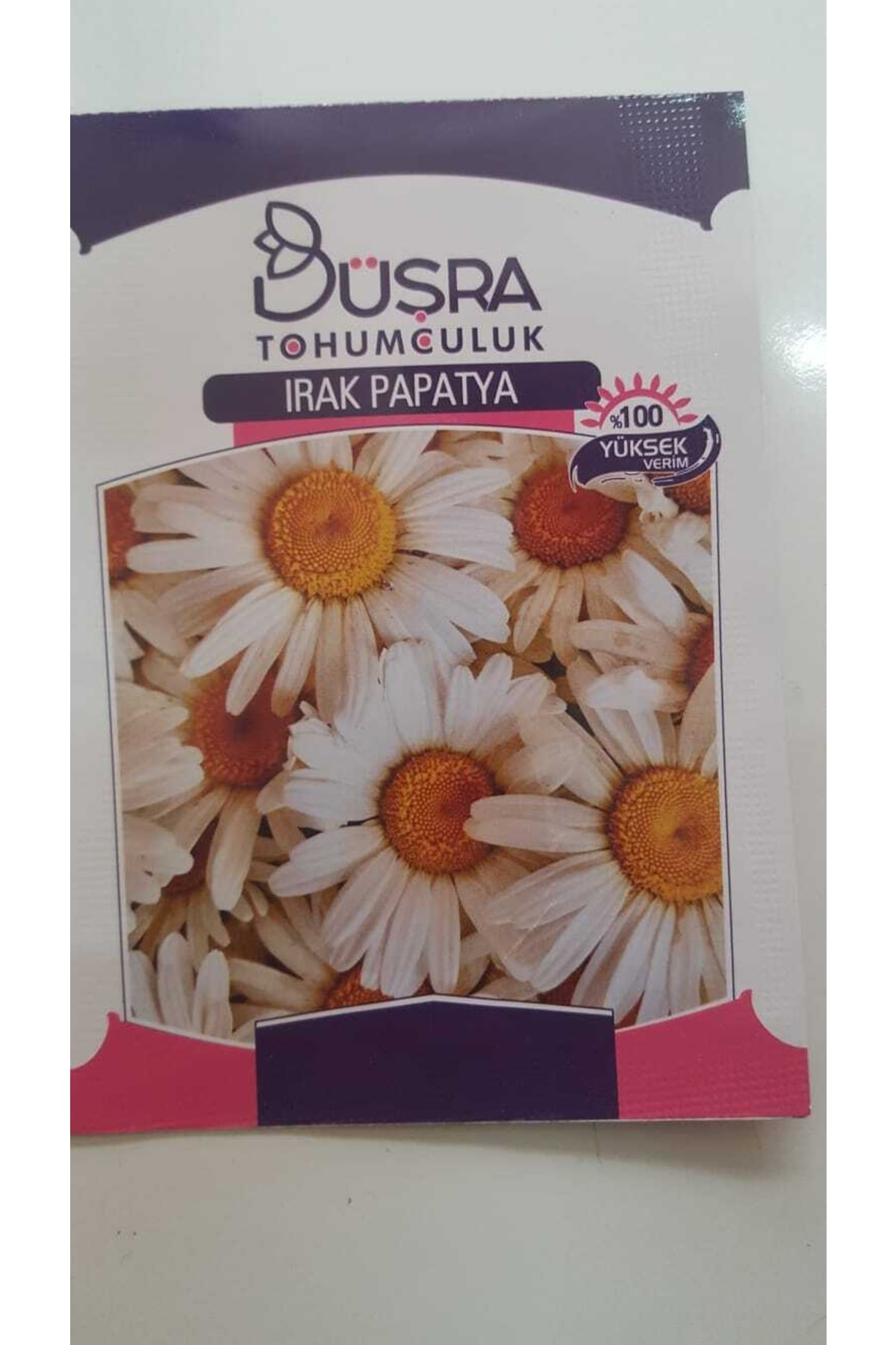 Papatya Çiçek Tohumu %100 Verimli