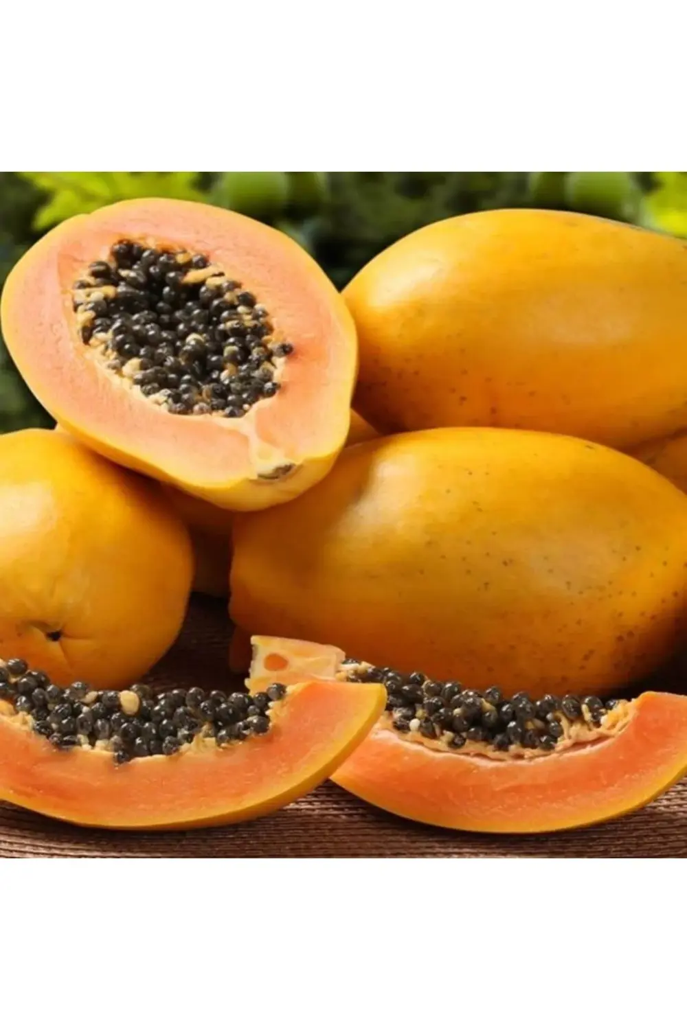 Papaya Meyvesi I 100cm