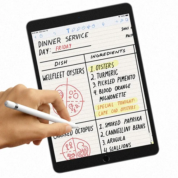 Paper Like Ekran Koruyucu iPad Pro/Air 10.5" – Darbe Emici Mat Film