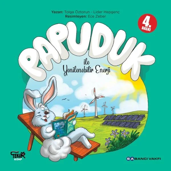 Papuduk ile Yenilenebilir Enerji Fiyatı, Yorumları ve Özellikleri