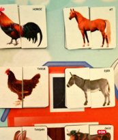 Ada Detox Parça Bütün Eşleştirme - Evcil Hayvanlar Keçe Cırtlı Duvar Panosu