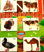 Ada Detox Parça Bütün Eşleştirme - Evcil Hayvanlar Keçe Cırtlı Duvar Panosu