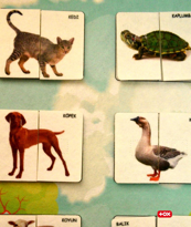 Ada Detox Parça Bütün Eşleştirme - Evcil Hayvanlar Keçe Cırtlı Duvar Panosu