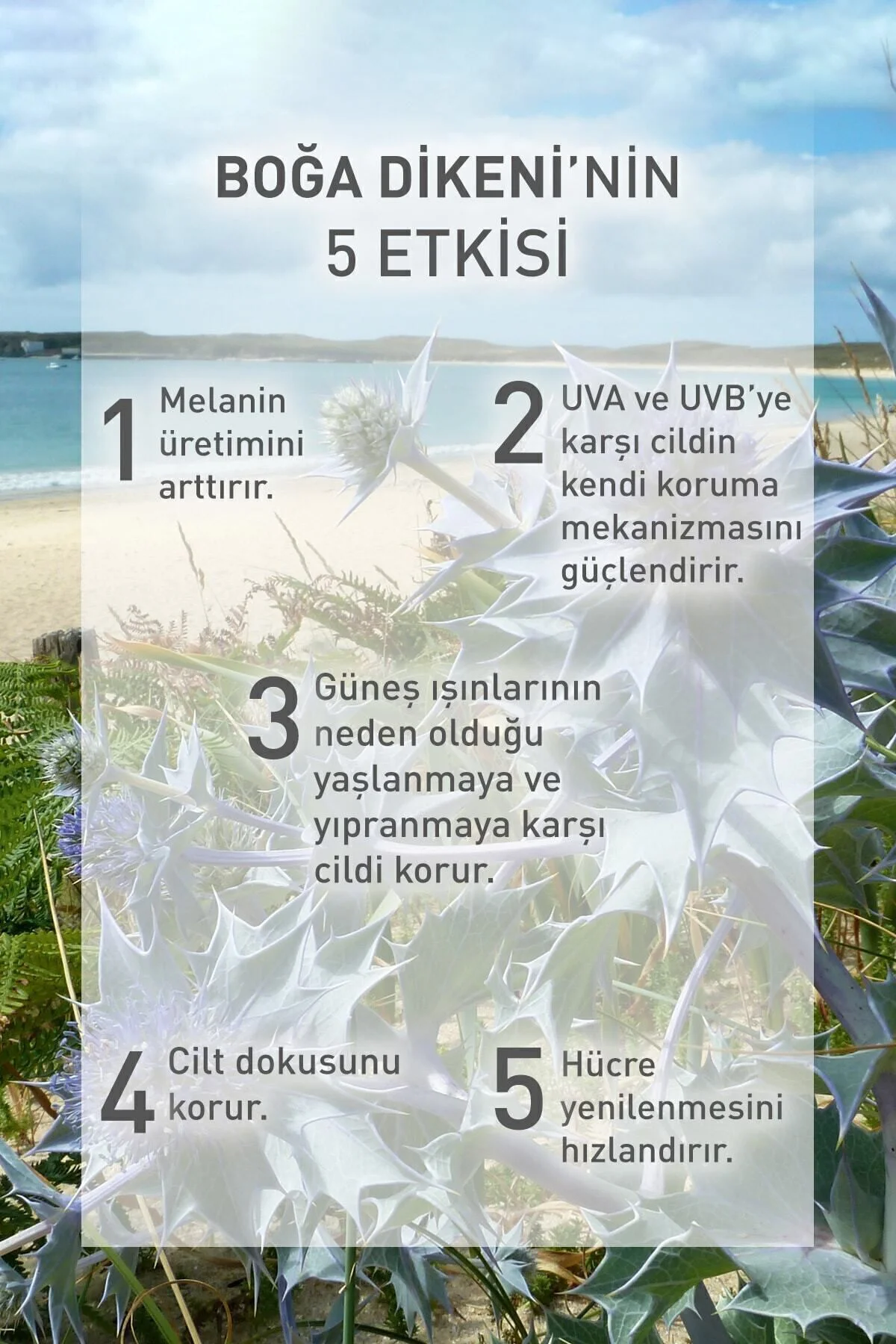 Parlama Karşıtı 50 Gkf Yüz Kremi - Yağlı Ciltler Için-40 Ml