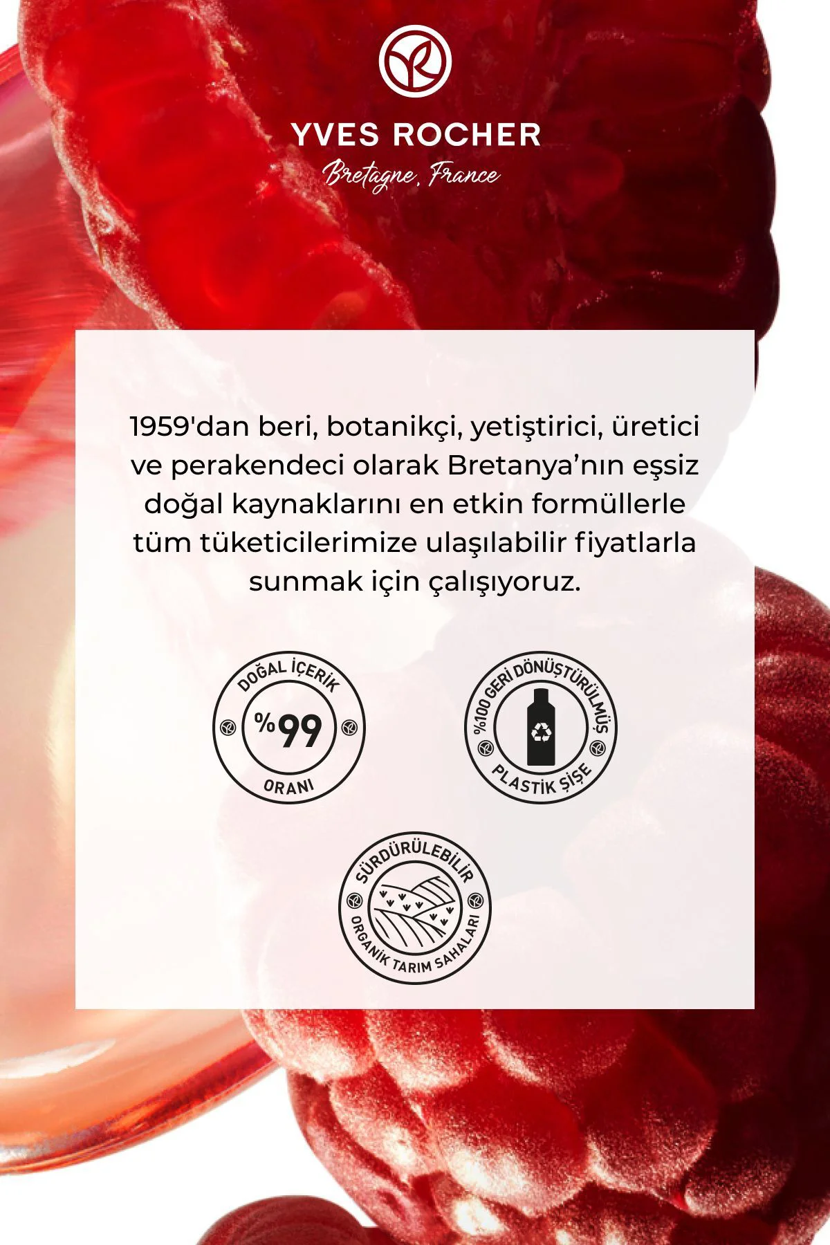 Parlatıcı Frambuaz Saç Sirkesi / Toniği - Normal Saçlar / Brillan