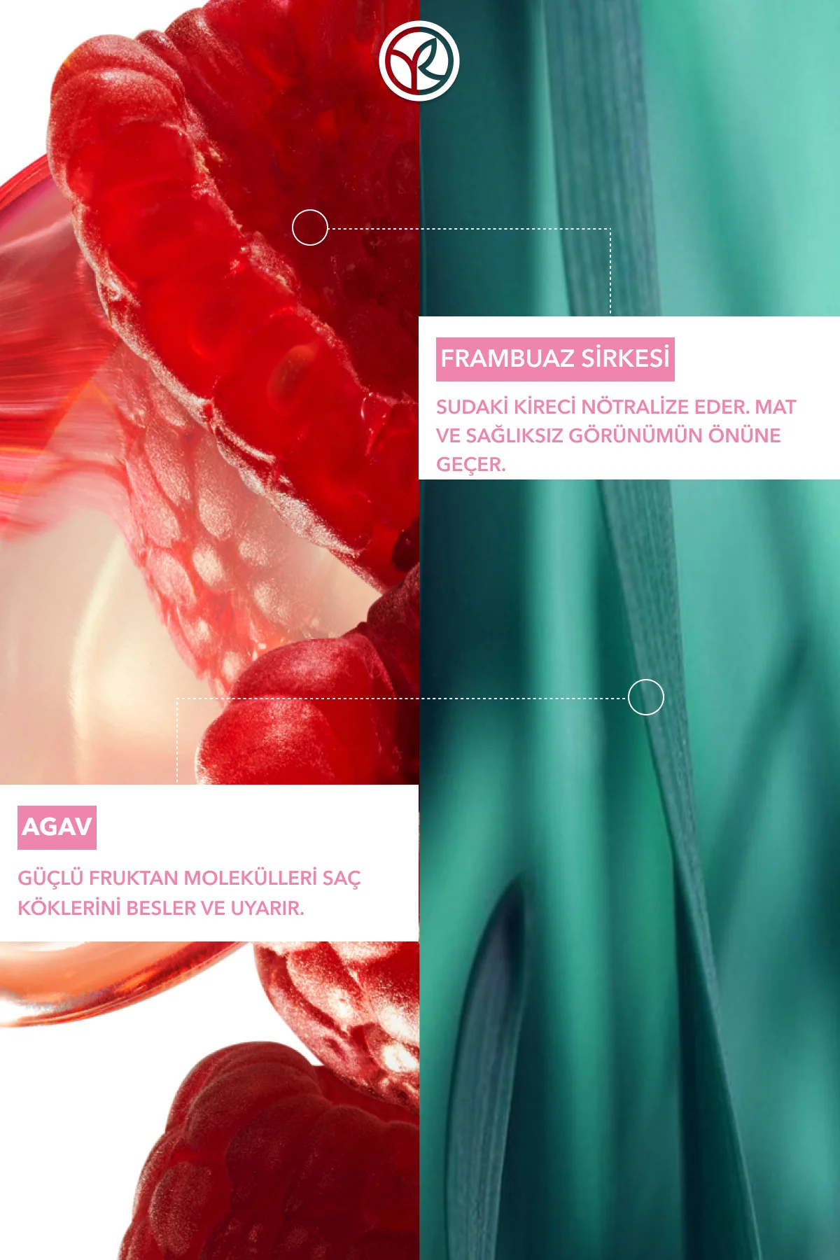 Parlatıcı Frambuaz Saç Sirkesi / Toniği - Normal Saçlar / Brillan