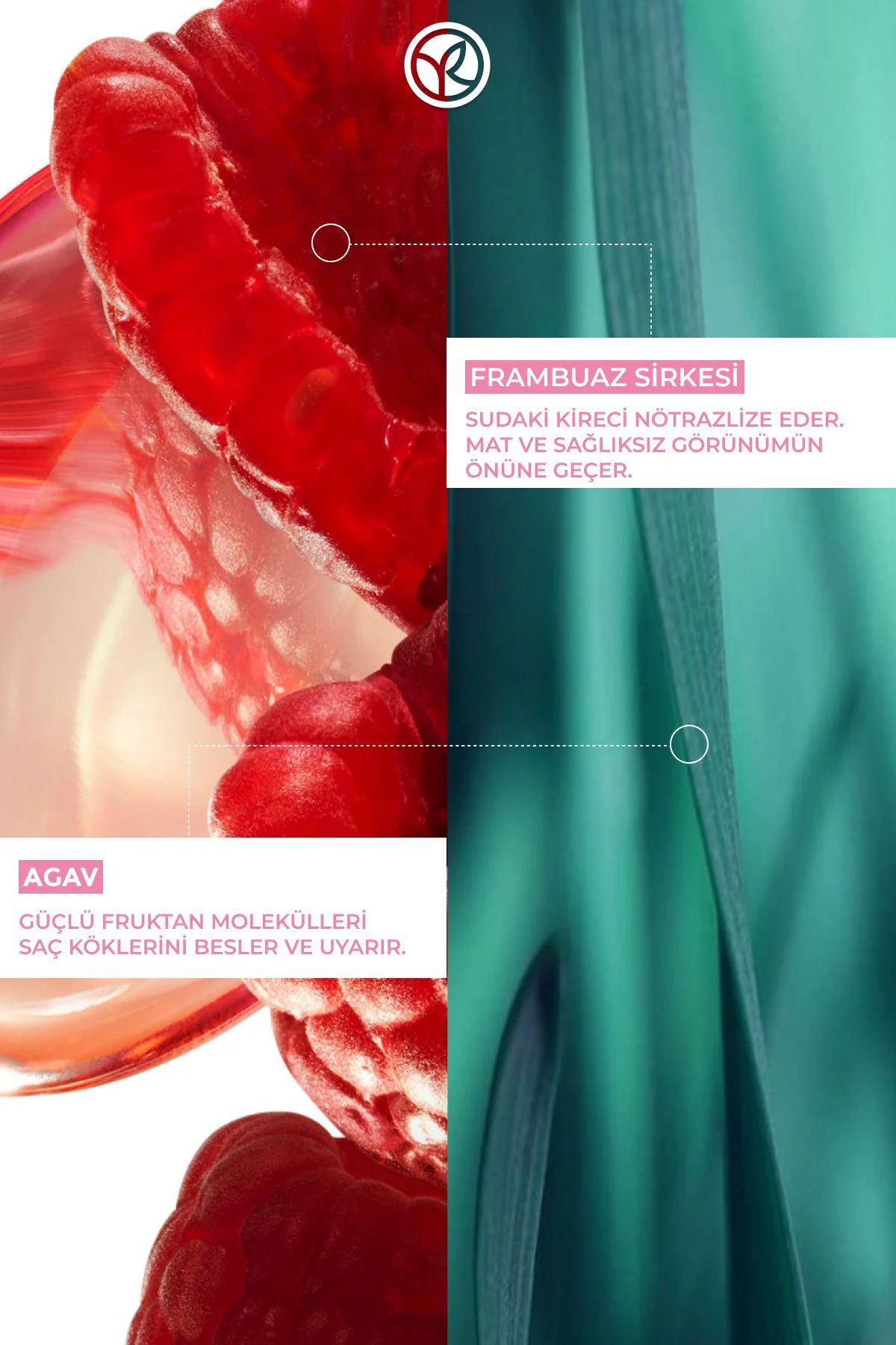 Parlatıcı Frambuaz Saç Sirkesi / Toniği - Normal Saçlar / Brillan