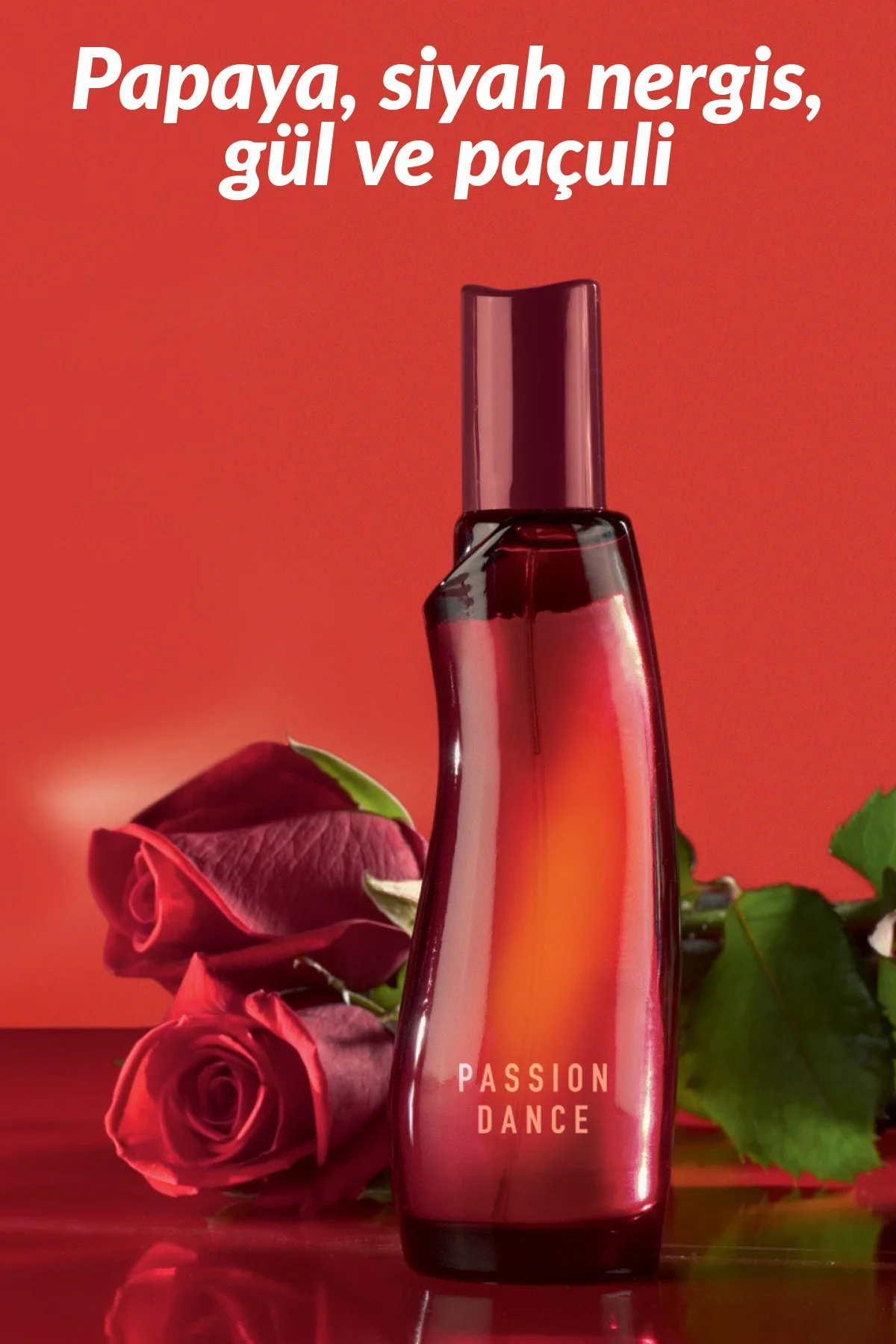 Passion Dance ve Passion Dance Dark Kadın Parfüm Paketi Passion Dance ve Passion Dance Dark Kadın Parfüm Paketi