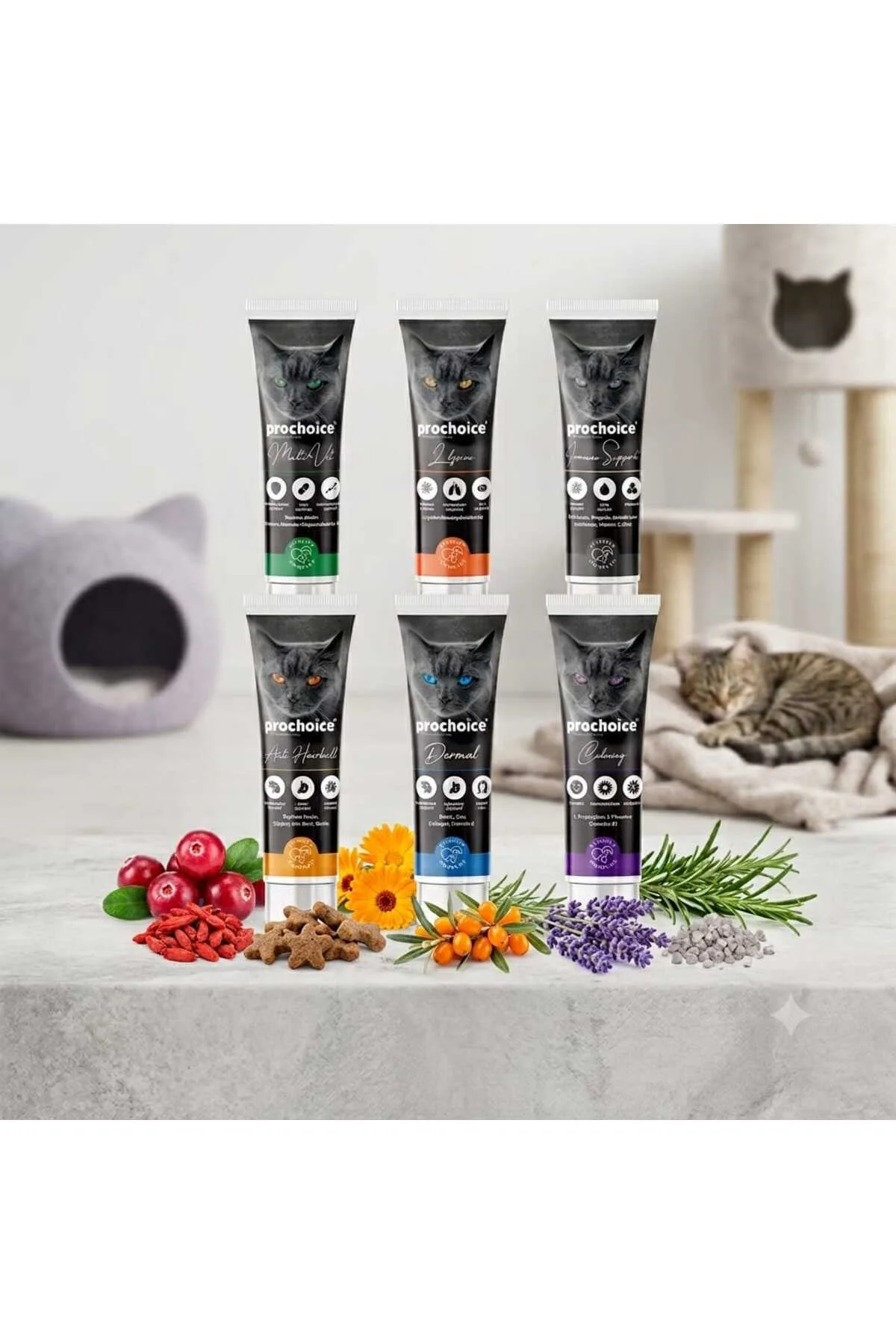 Pasta Kediler İçin Gıda Takviyesi 100 Ml Lik 6'lı Kedi Malt Seti Pasta Kediler İçin Gıda Takviyesi 100 Ml Lik 6'lı Kedi Malt Seti