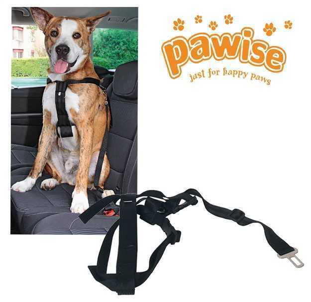 Pawise Emniyet Kemer Tokalı Tasma M 50-70 Cm