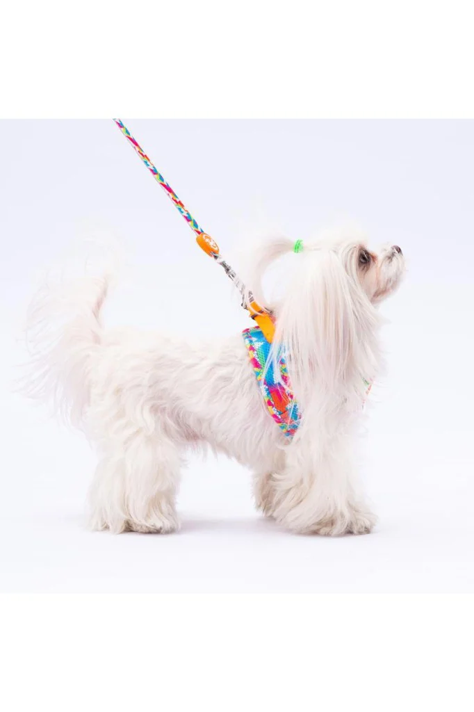 Pawstar Air Köpek Sevk Kayışı L26 Mosaic 135 cm