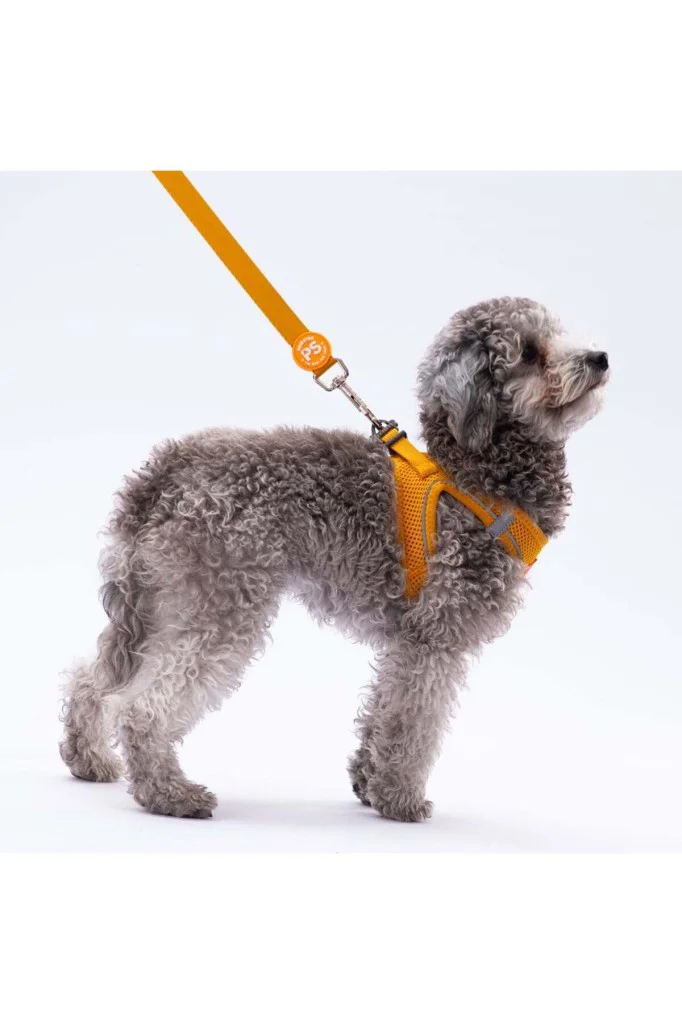 Pawstar Air Köpek Sevk Kayışı L07 Gold 135 cm Pawstar Air Köpek Sevk Kayışı L07 Gold 135 cm