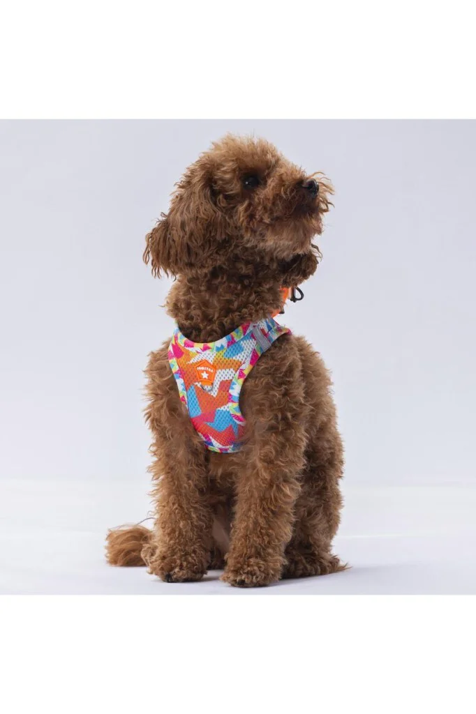 Pawstar Air Mesh Harness Göğüs Tasması A26 Mosaic XLarge