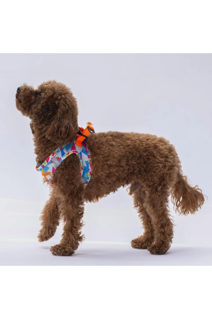 Pawstar Air Mesh Harness Göğüs Tasması A26 Mosaic XLarge