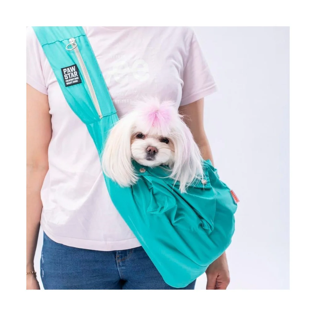 Pawstar Kedi, Küçük Köpek Taşıma Çantası Mint Crossbody Bag 2-6 K