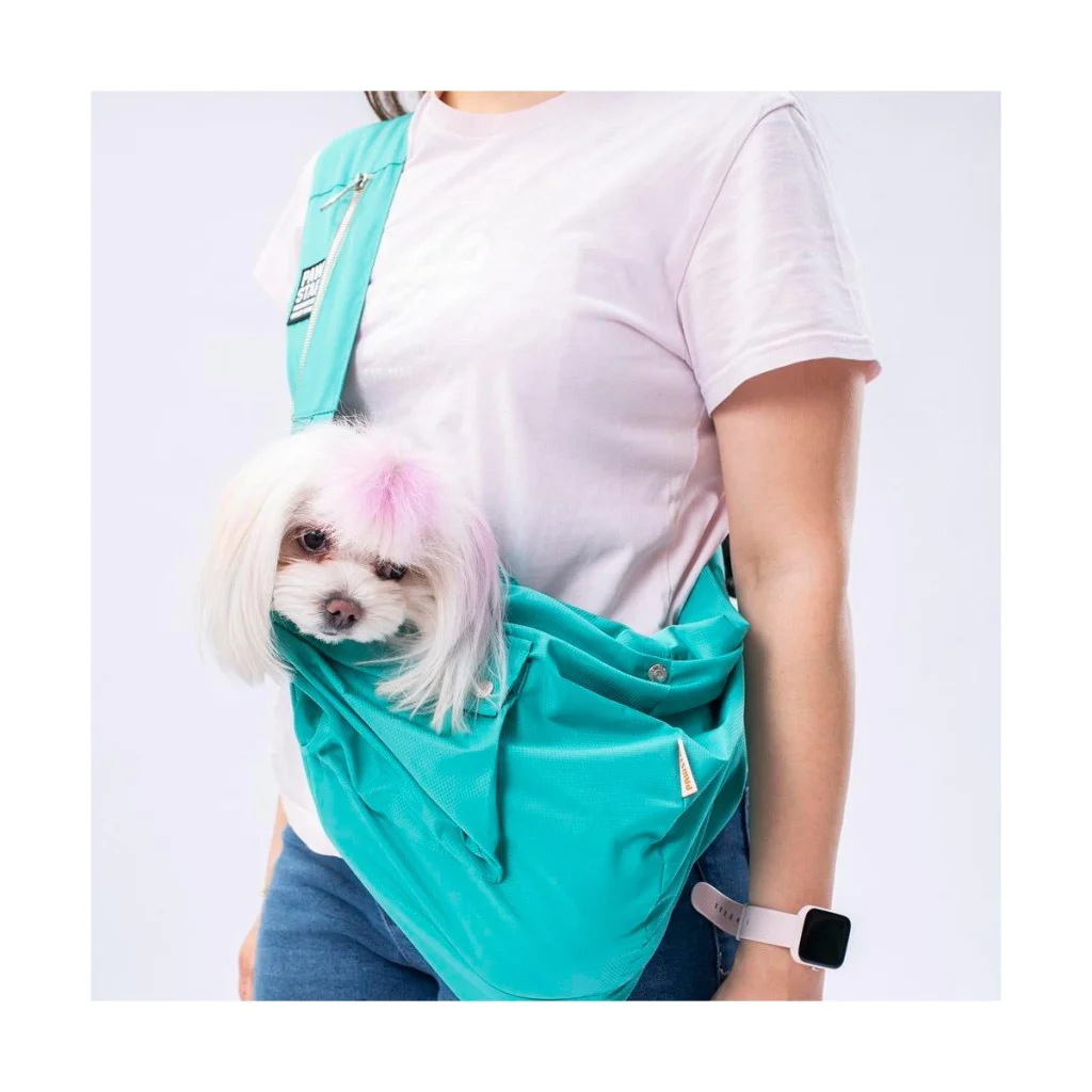 Pawstar Kedi, Küçük Köpek Taşıma Çantası Mint Crossbody Bag 2-6 K