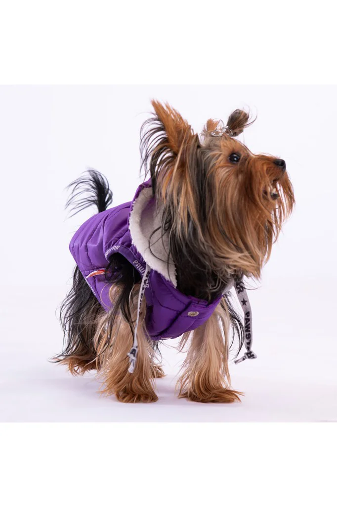 Pawstar Kedi ve KÜÇÜK Köpek Purple Railway Vest L Sırt33cm Göğüs4 Pawstar Kedi ve KÜÇÜK Köpek Purple Railway Vest L Sırt33cm Göğüs4